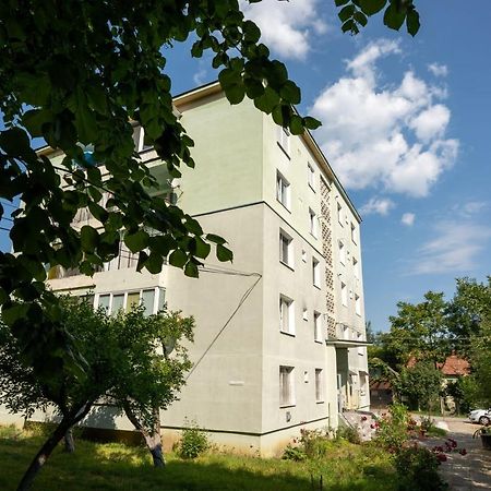 Nya Apartment Sighişoara Esterno foto