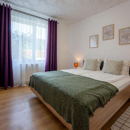 Nya Apartment Sighişoara Esterno foto