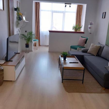 Nya Apartment Sighişoara Esterno foto